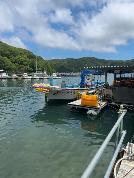 あなたに逢い鯛釣り堀