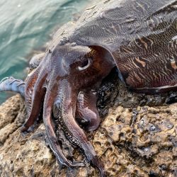 唯一のあたりで！