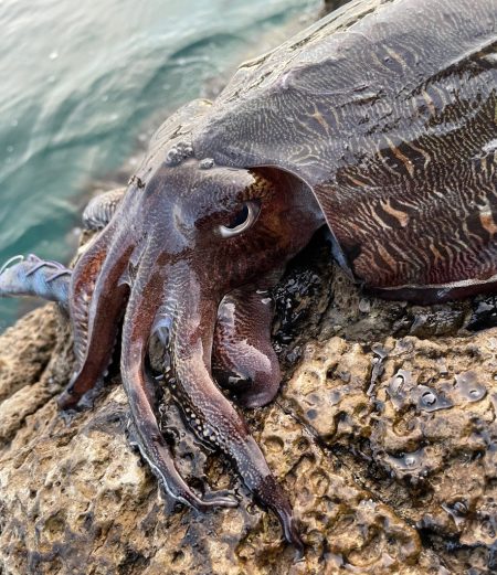 唯一のあたりで！