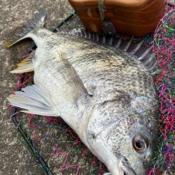 ヘチってきました