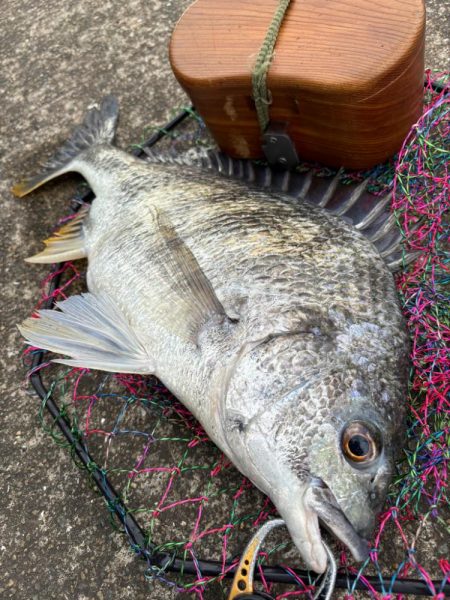 ヘチってきました