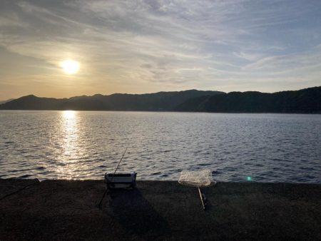 久しぶりの青物