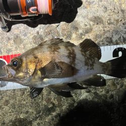 とりあえずリミットメイク