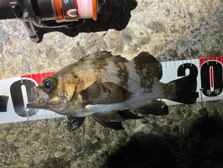 とりあえずリミットメイク