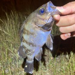 サイズ入れ替え