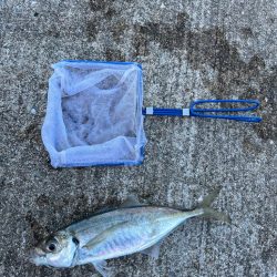 アジングでデカあじゲット