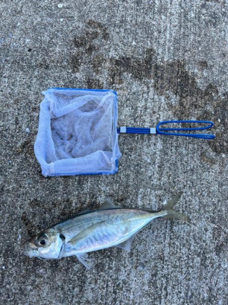 アジングでデカあじゲット