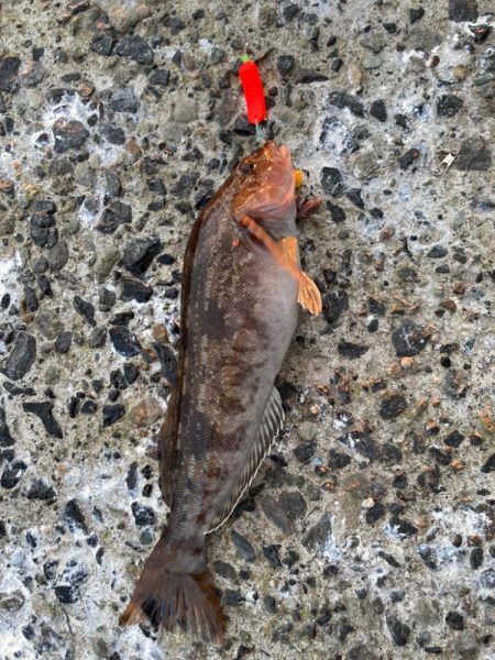 爆風の朝マズメ