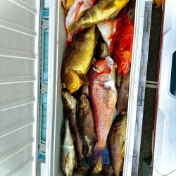 イサキ&ネギング釣行