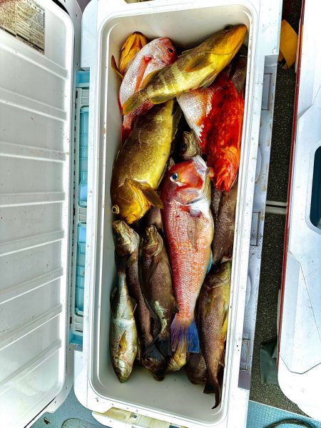 イサキ&ネギング釣行