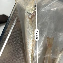 雨降り前の朝釣り