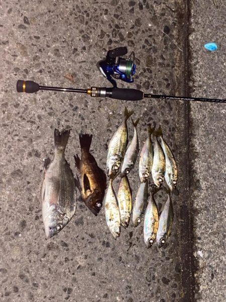 アジング開幕戦！