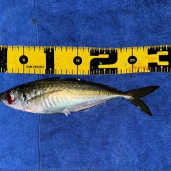 ロックアジング