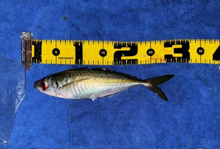 ロックアジング