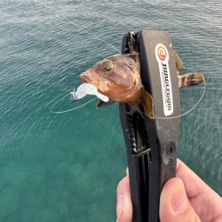 仕事終わってからの🎣