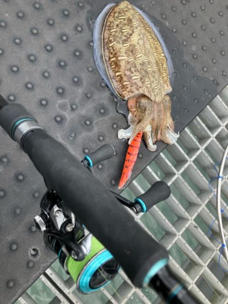 新転地で初アオリ！！