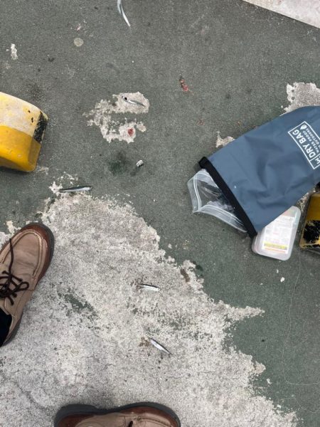 短時間お土産釣り