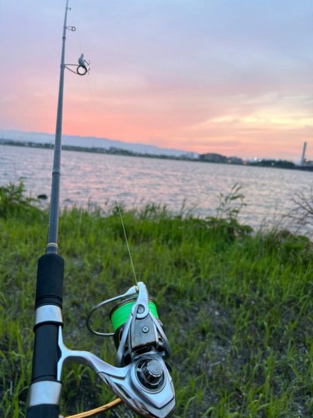 淀川シーバスのはずが、