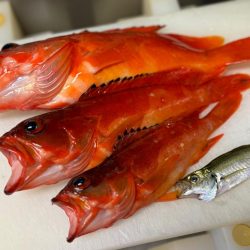 ガチンコ仕掛けでロック＆フラットへ