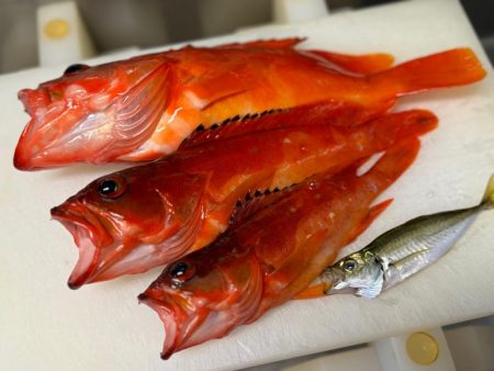 ガチンコ仕掛けでロック＆フラットへ