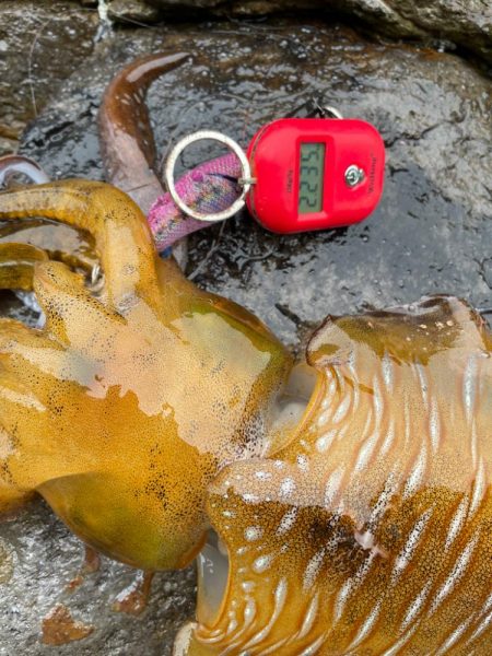 その時が来た！