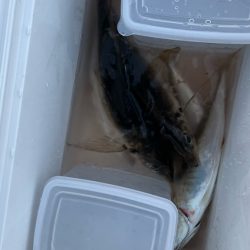 クーラーいっぱい😆