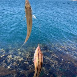 爆風東二見釣行！