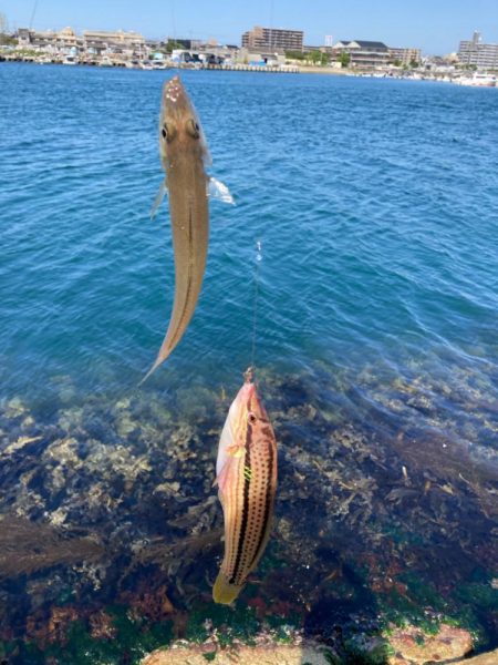 爆風東二見釣行！