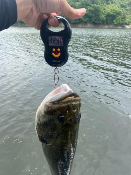 1日ボート釣行！