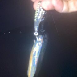 メバルプラッキング