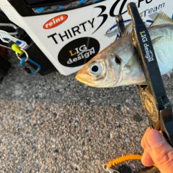 連休初日の夕方🎣