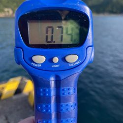 やっぱりアナタですね…