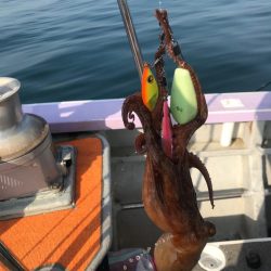 淡路のタコ釣り