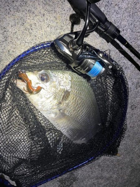 淀川ブリームゲーム