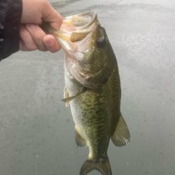 午前中ボート釣行！