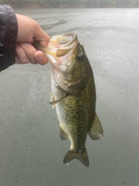 午前中ボート釣行！