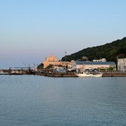 キス釣り、アジ、イワシ五目釣り