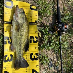 遠賀川水系バス釣り
