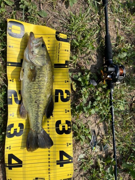 遠賀川水系バス釣り