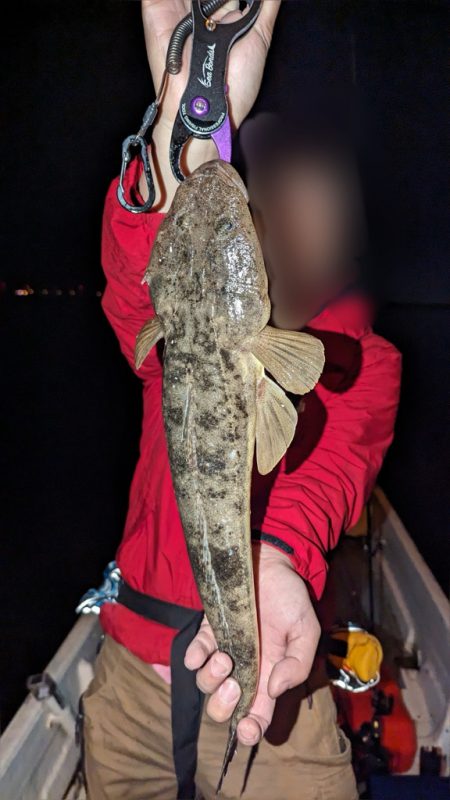 マゴチ&シーバス