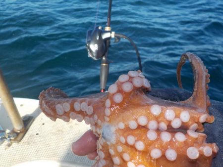 船タコ第2戦〜盛和丸　数釣り〜