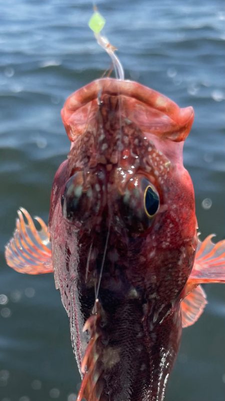 ポイントによりけり