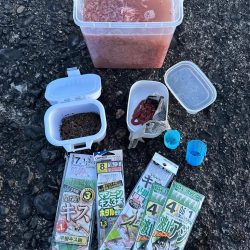 キス、アジ釣り、五目釣り