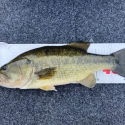 1日ボート釣行!