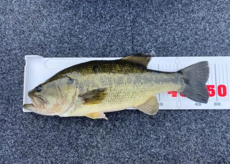 1日ボート釣行!