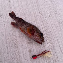 ズルずるテクてく