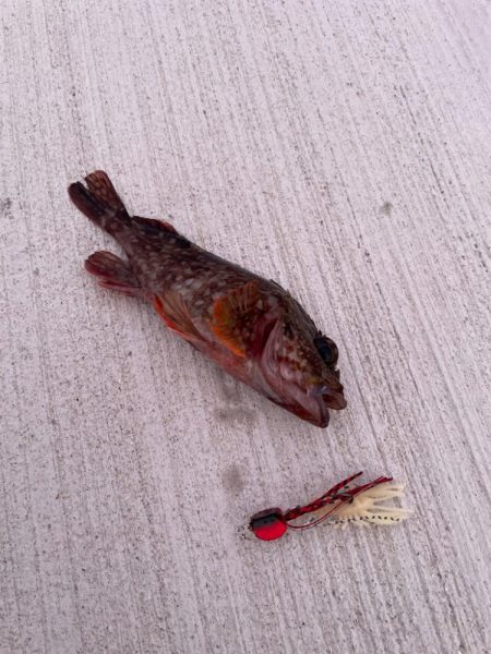 ズルずるテクてく