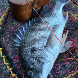 ヘチってきました