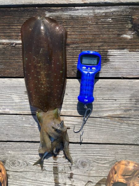 ヤエン釣り初キロover2杯良型2杯