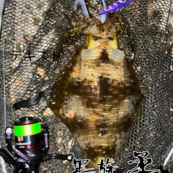 今月最初の釣行